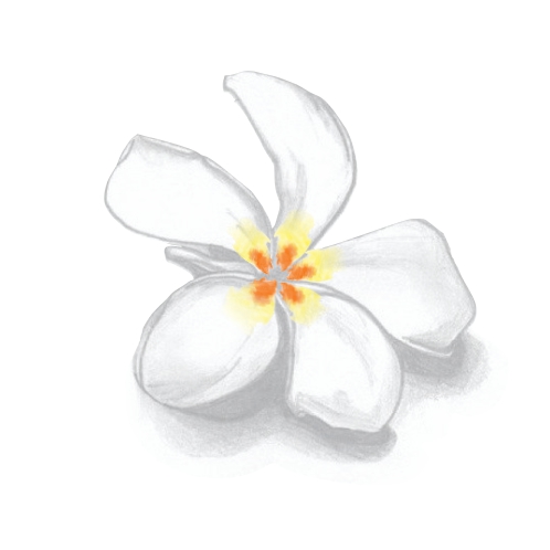 flower icon